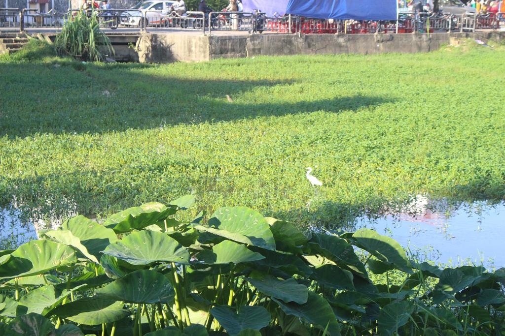Hoi An Green View Homestay & Villa Dış mekan fotoğraf