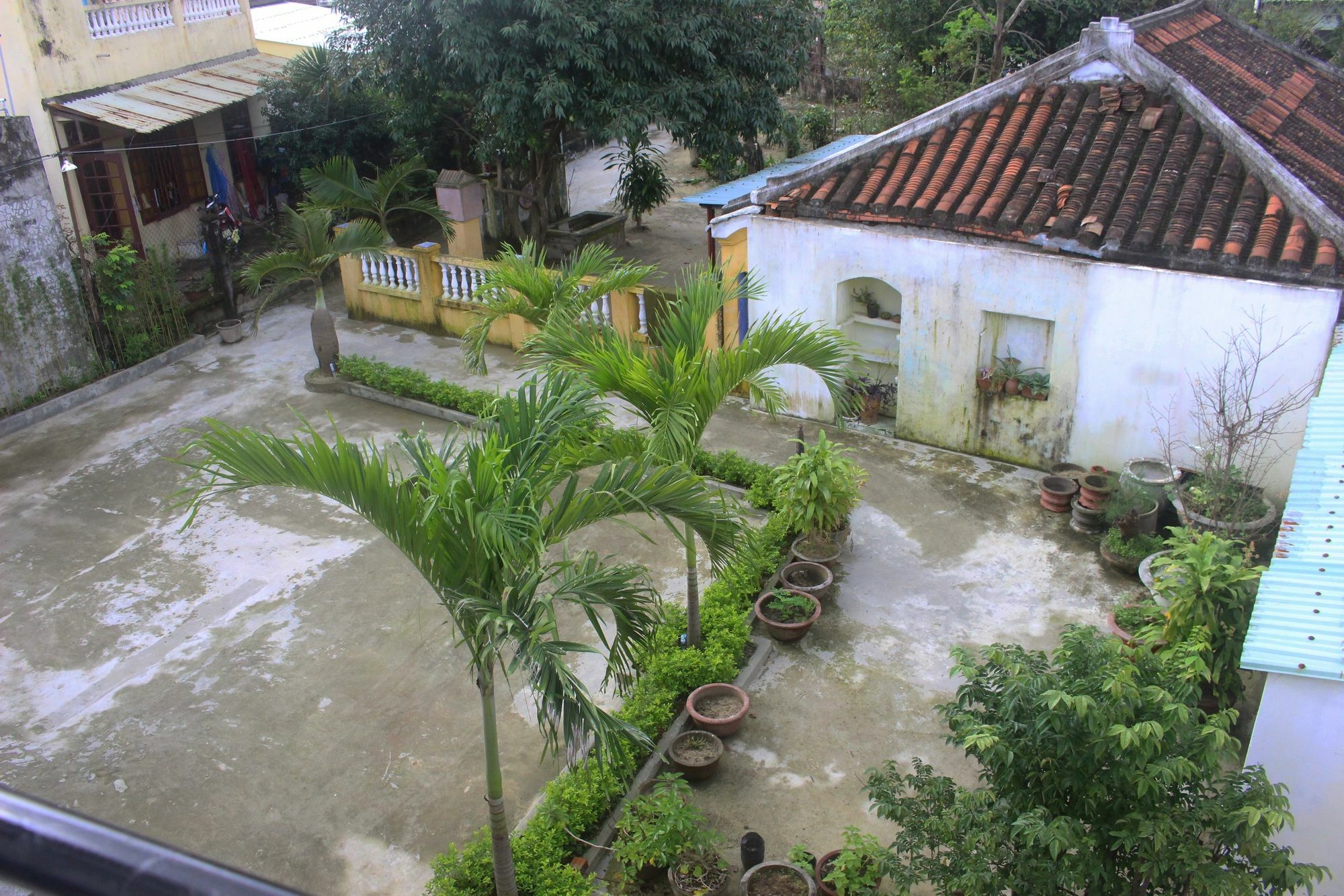 Hoi An Green View Homestay & Villa Dış mekan fotoğraf