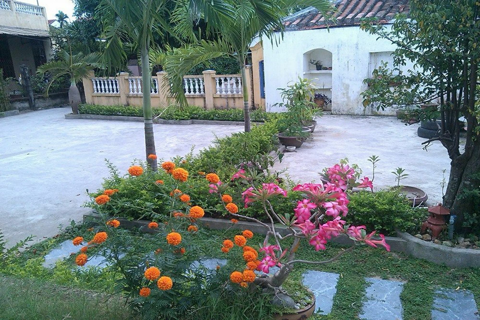 Hoi An Green View Homestay & Villa Dış mekan fotoğraf