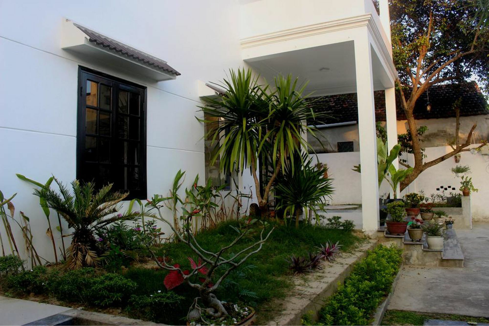 Hoi An Green View Homestay & Villa Dış mekan fotoğraf