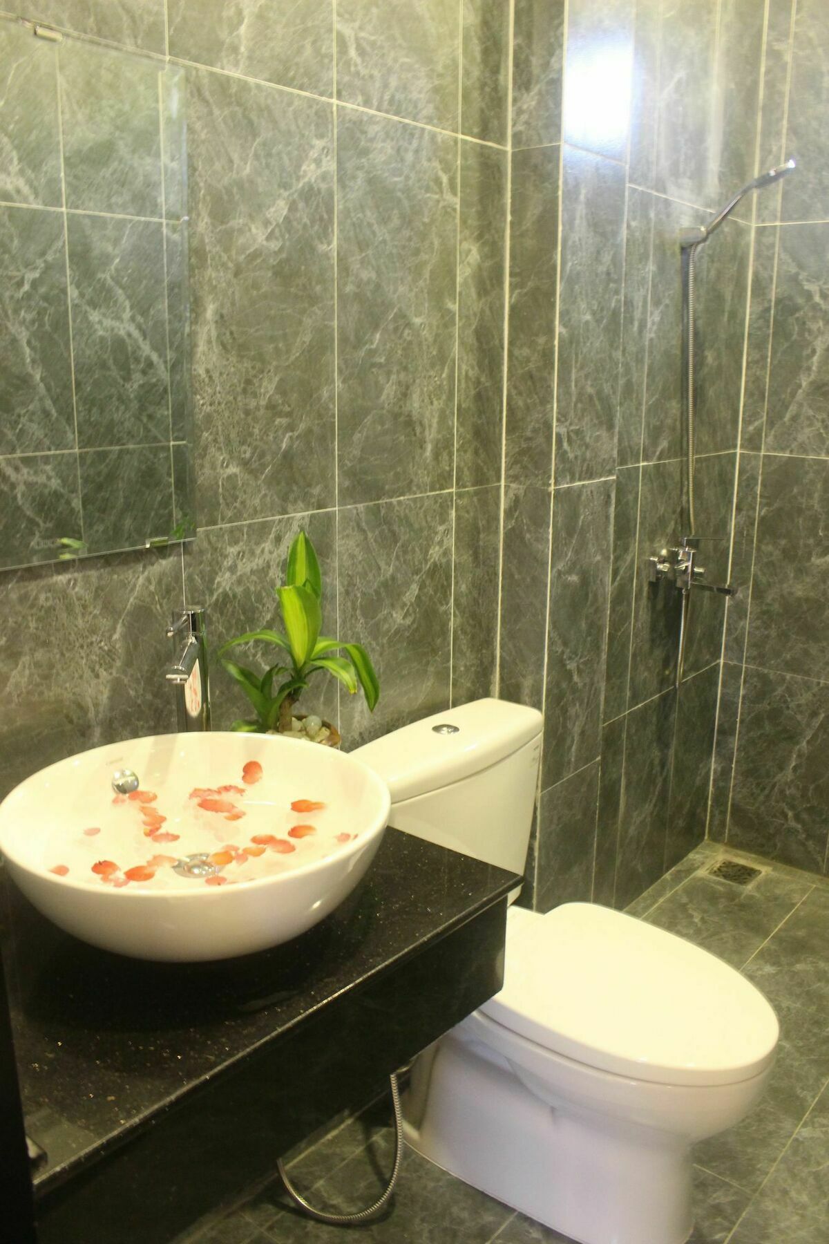 Hoi An Green View Homestay & Villa Dış mekan fotoğraf