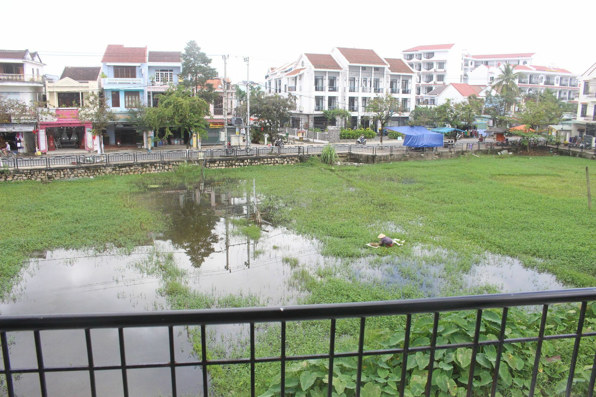 Hoi An Green View Homestay & Villa Dış mekan fotoğraf